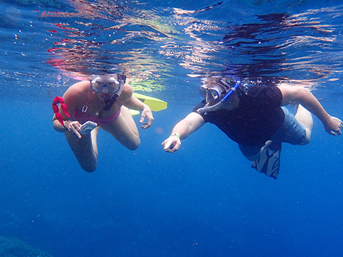 Roatan sloth Shore Excursion Reservations