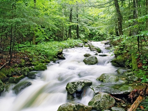 Falmouth Jamaica dunn's river falls Shore Excursion Reservations